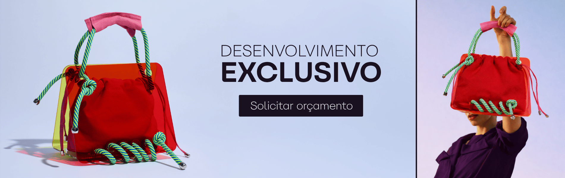 Desenvolvimento Exclusivo